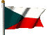 CZECHCLR_CG33.GIF (7532 bytes)